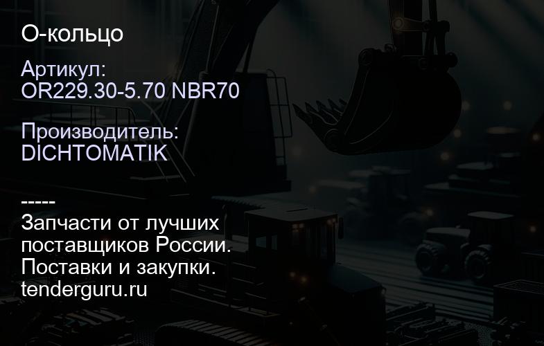 OR229.30-5.70 NBR70 О-кольцо | купить запчасти